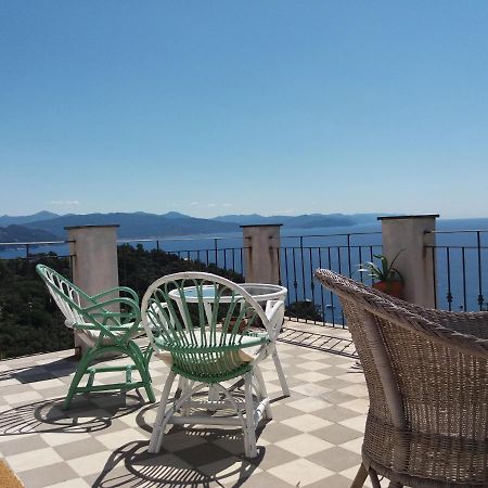 Trekking In Paradise B&B Santa Margherita Ligure Zewnętrze zdjęcie