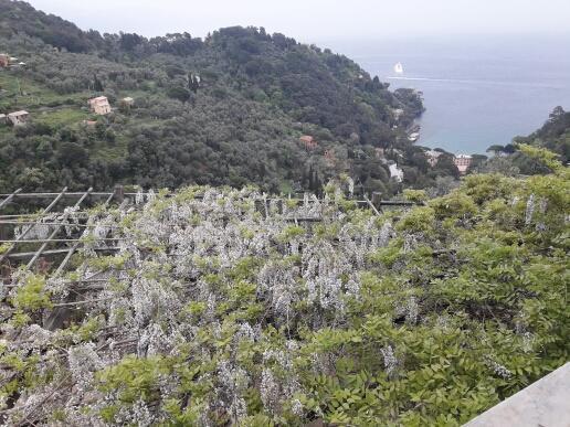 Trekking In Paradise B&B Santa Margherita Ligure Zewnętrze zdjęcie