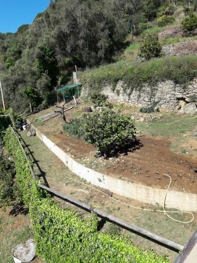 Trekking In Paradise B&B Santa Margherita Ligure Zewnętrze zdjęcie