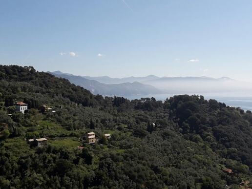 Trekking In Paradise B&B Santa Margherita Ligure Zewnętrze zdjęcie